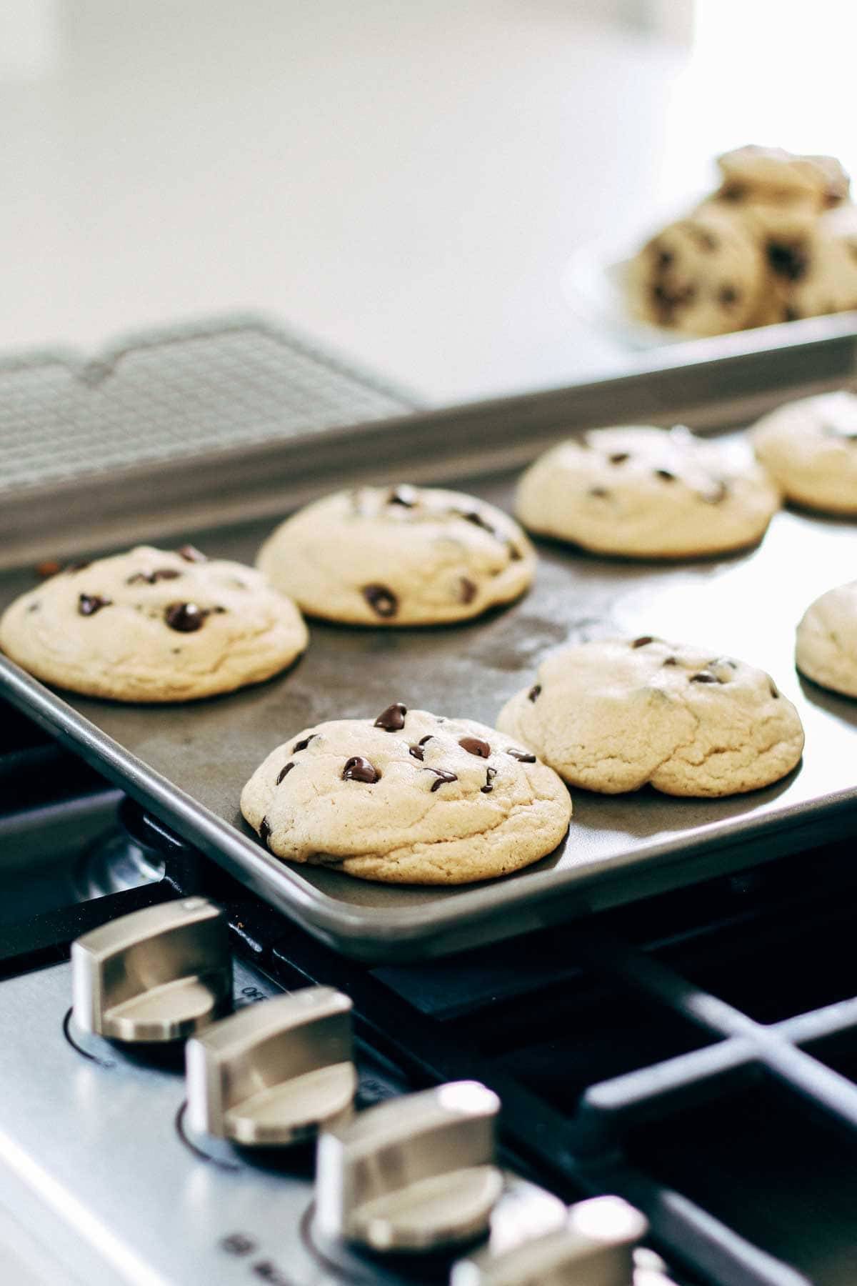 Chocolate Chip Cookies Out Of Oven