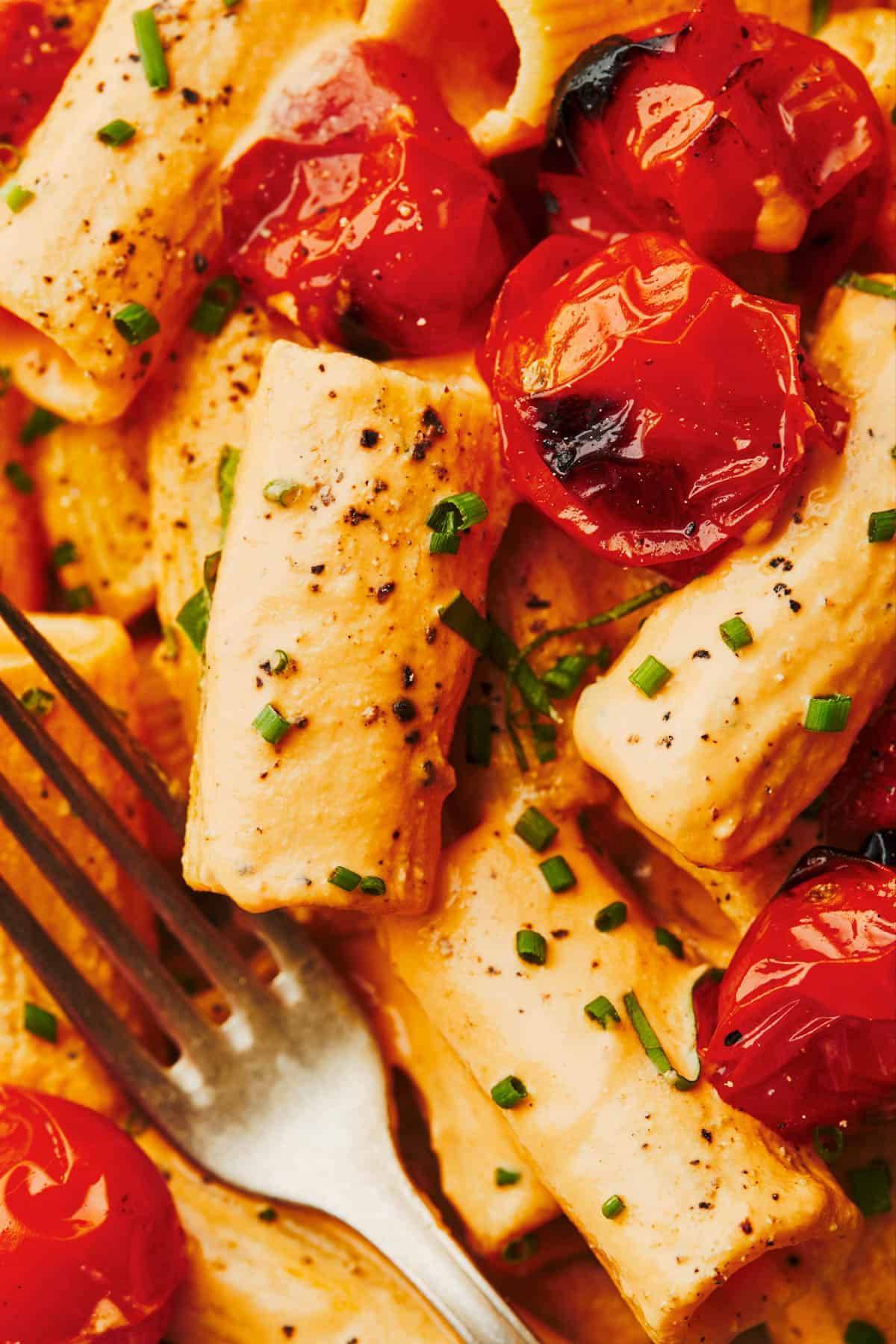 Creamy red pepper pasta with tomatoes.