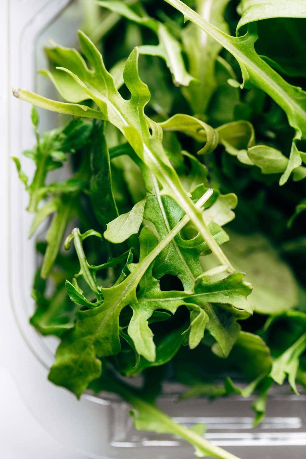 Arugula close up.