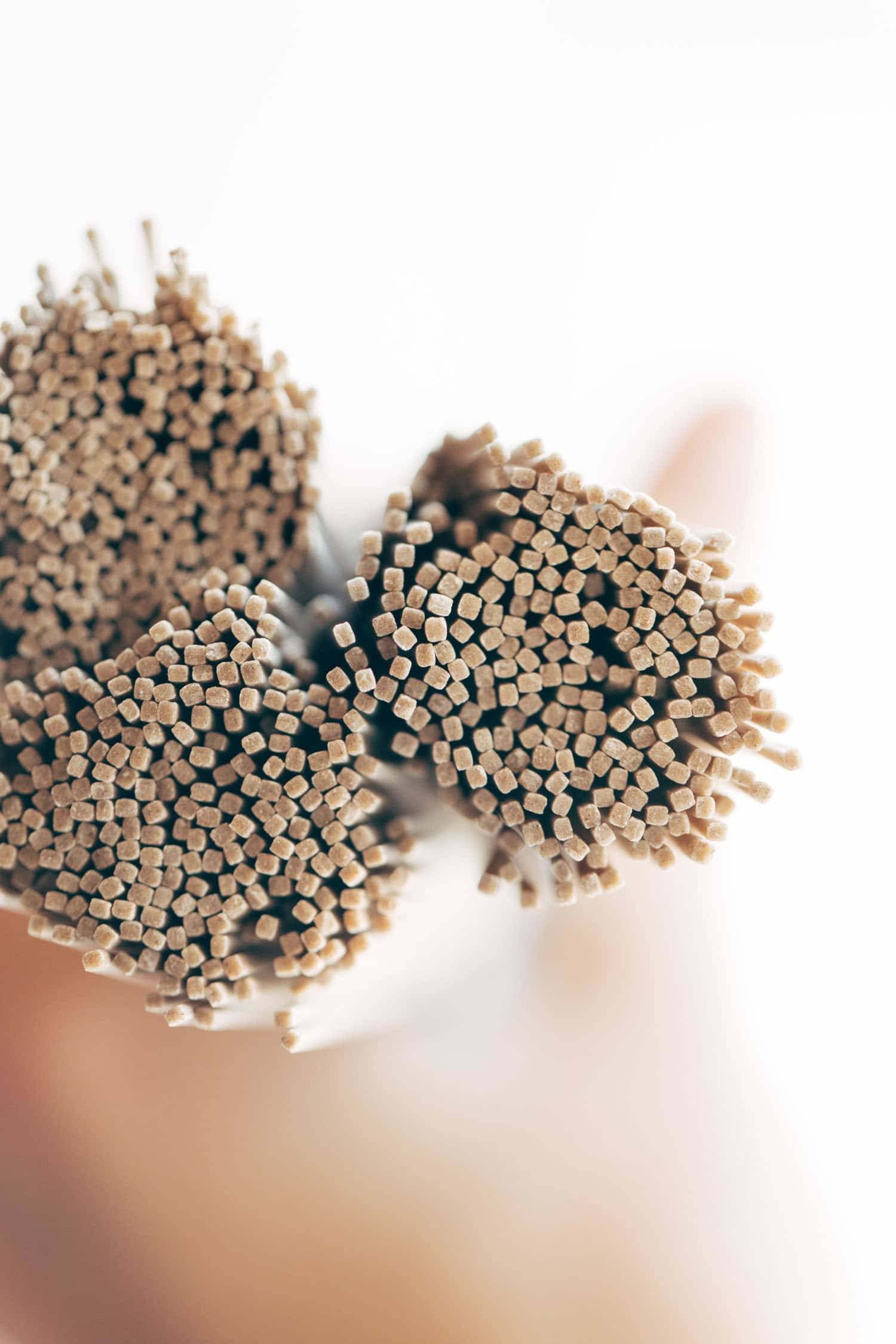 Close-up of soba noodles.