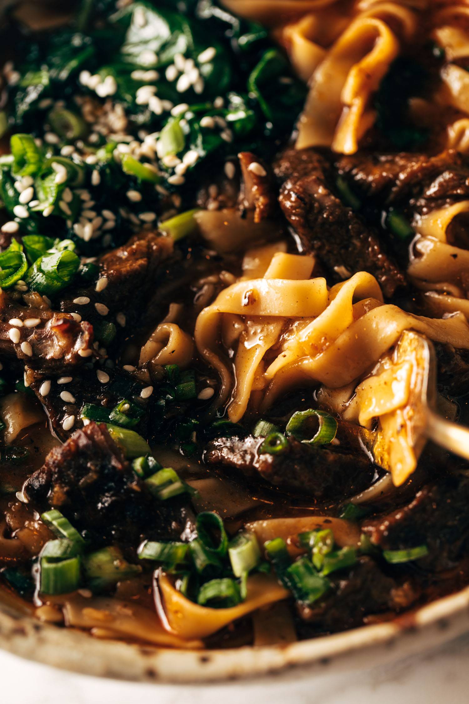 Short rib noodle soup in a bowl