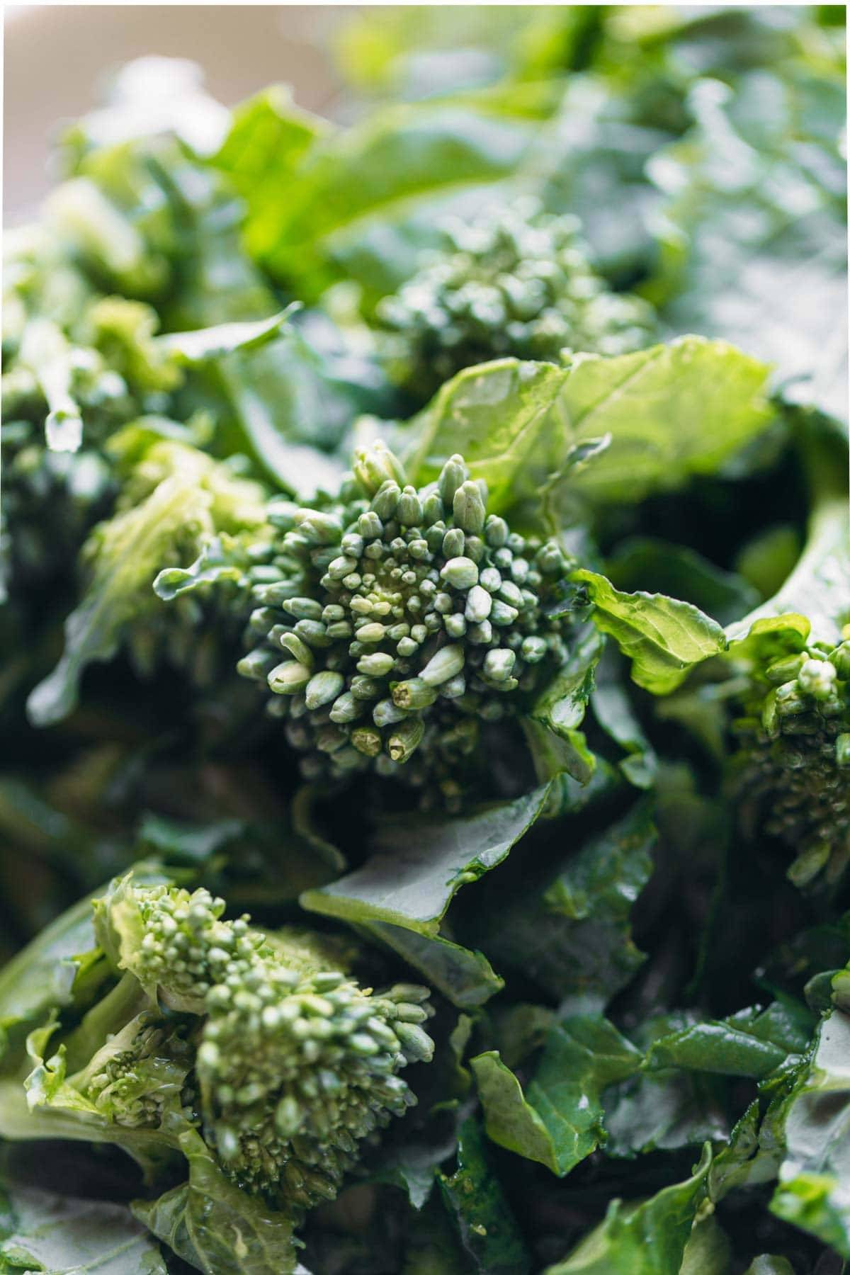 Broccoli Rabe for Sweet Potato Gnocchi 